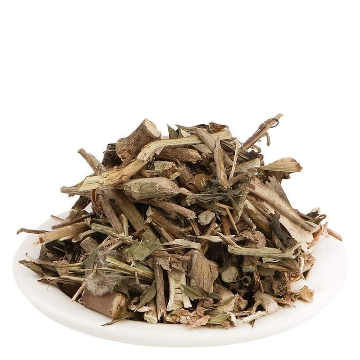 Adhatoda Vasica (Vasaka)